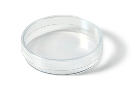 Cutii petri plastic sterile 55 mm - Deltalab - 15 buc