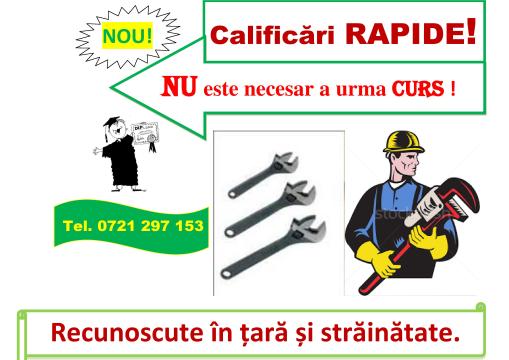 Curs rapid din toata tara