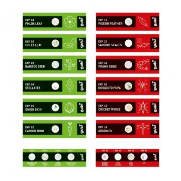 Jucarie set lamele pentru microscop - 20 de mostre diferite