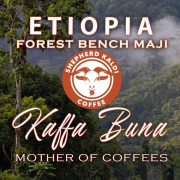 Cafea de origine Etiopia Kaffa - Forest Bench-Maji de la Kingstone Commerce S.R.L.