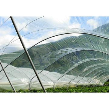 Folie solar clara Pati Tri Sol 160 microni 11,5 m de la Green Garden Srl