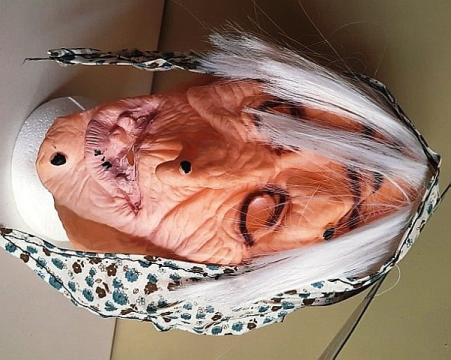 Masca halloween vrajitoare Deluxe - verde