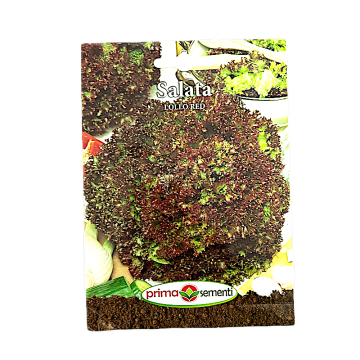 Seminte salata Lollo Red 2 gr, Prima Sementi