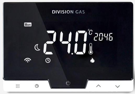 Termostat de ambient cu control prin internet Homeplex